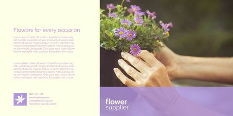 delicate touch holding purple flowers for floral promotion - Download Free Stock Templates Pikwizard.com