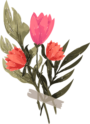 Floral composition with coral blooms on transparent background