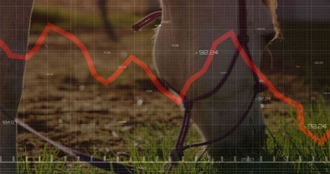 Horse grazing amid financial graph overlay showing market trends