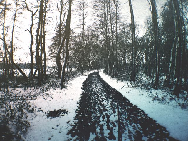 Snow-covered Forest Trail in Winter Landscape - Download Free Stock Photos Pikwizard.com