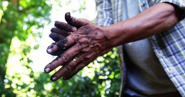 A middle-aged man's hands are covered in soil, suggesting he has been working with the earth. His dirty hands indicate hard work, in gardening or agriculture.