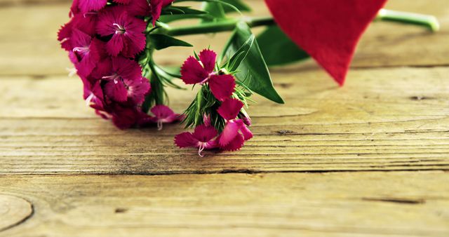 Close-up of bunch of pink flowers on wooden plank - Download Free Stock Photos Pikwizard.com