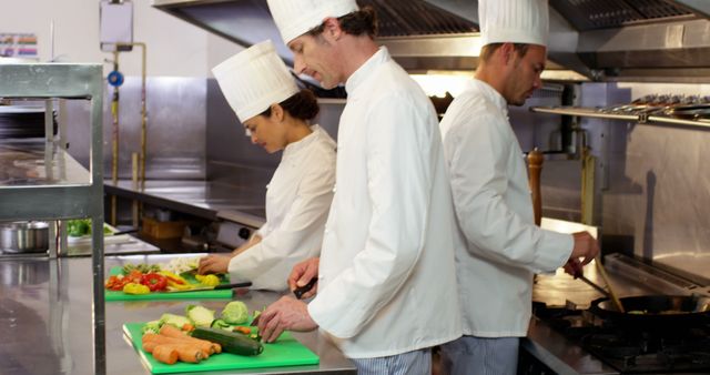 Professional chefs working together in a commercial kitchen, showcasing teamwork and culinary skills. One chef chopping vegetables, while two others cook on stoves, emphasizing the collaborative nature of restaurant kitchens. Ideal for use in advertisements, culinary school brochures, restaurant promotions, or articles focused on teamwork, cooking, and the restaurant industry.