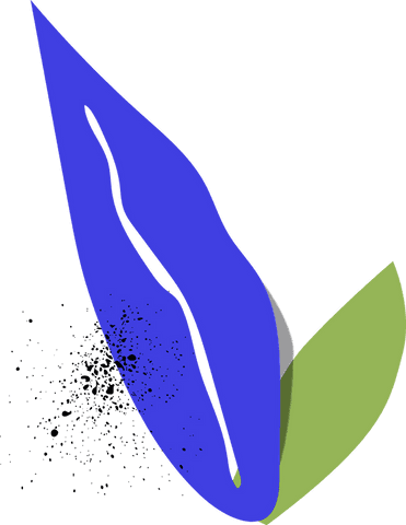 Abstract blue ribbon and green leaf on transparent background