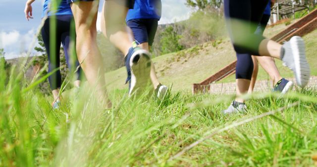 Group Running Together in Nature Trail on a Sunny Day - Download Free Stock Images Pikwizard.com