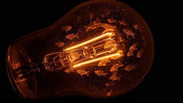 Glowing edison-style bulb revealing tubular filament with fish-shaped glass inclusions