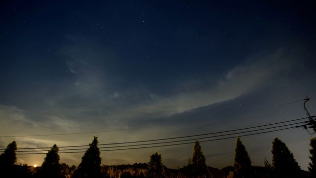 Clear Night Sky with Stars Over Pine Trees and Power Lines - Download Free Stock Photos Pikwizard.com