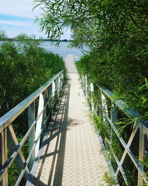 Photograph depicting a metal pier bordered by lush greenery leading to a calm lake under a clear sky. Ideal for use in travel brochures, nature conservation promotions, relaxation and wellness guides, and websites promoting eco-tourism and outdoor activities.