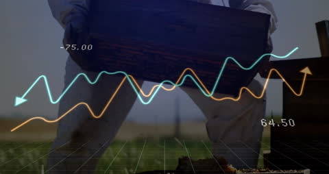 Beekeeper Holding Wooden Box with Financial Graph Overlay