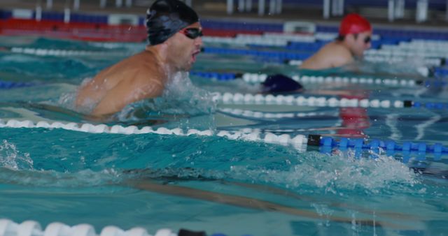 Professional Swimmers Competing in Swimming Pool Race - Download Free Stock Images Pikwizard.com