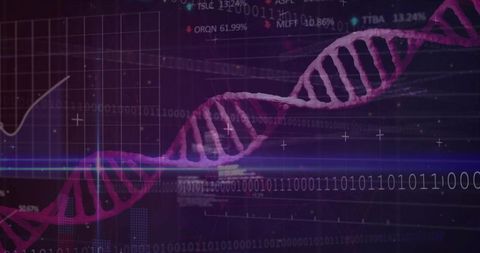 Futuristic Magenta DNA Helix with Binary Code and Data Charts
