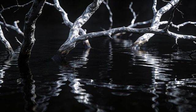 Bleached driftwood casting silver reflections on dark water with ripples and moody texture