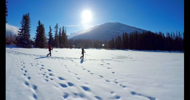 Winter hikers trekking through a snowy landscape on a sunny day with a mountain and pine trees in the background. Ideal for outdoor adventure themes, travel blogs, winter sports promotions, and nature photography collections.