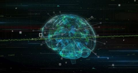 3d wireframe brain hologram with streaming data points