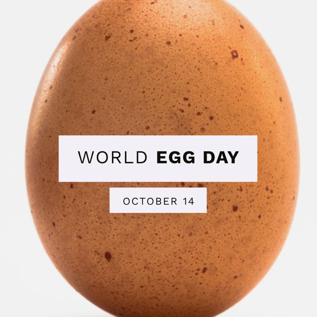 Close-up of Raw Brown Egg Celebrating World Egg Day on October 14 - Download Free Stock Templates Pikwizard.com