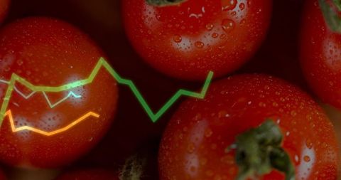 Ripe tomatoes gleaming with dewdrops, neon graphs overlaying produce pricing trends
