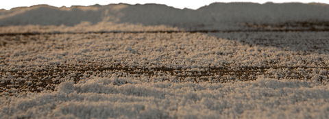 Transparent Snow Texture on Wooden Surface