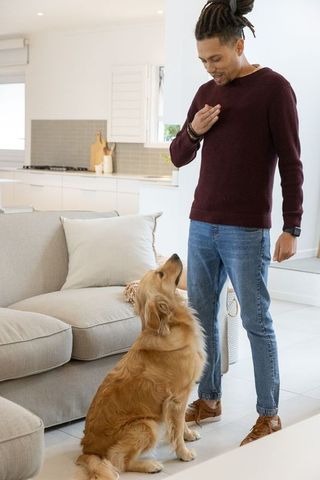 Man bonding with golden retriever while standing in bright modern living room