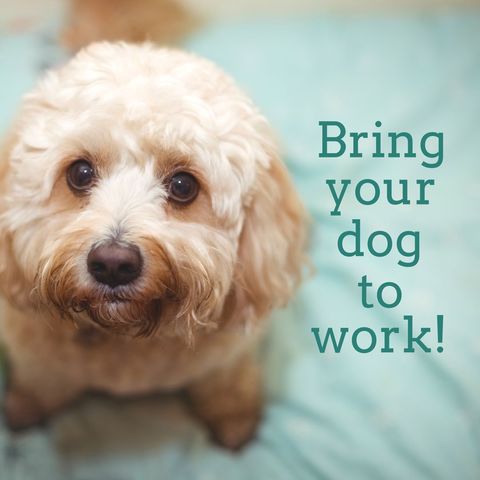 adorable doodle on bring your dog to work day promotion - Download Free Stock Templates Pikwizard.com