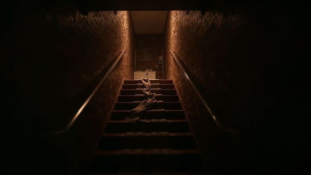 Moody Staircase with Carpet and Fabric in Vintage Basement