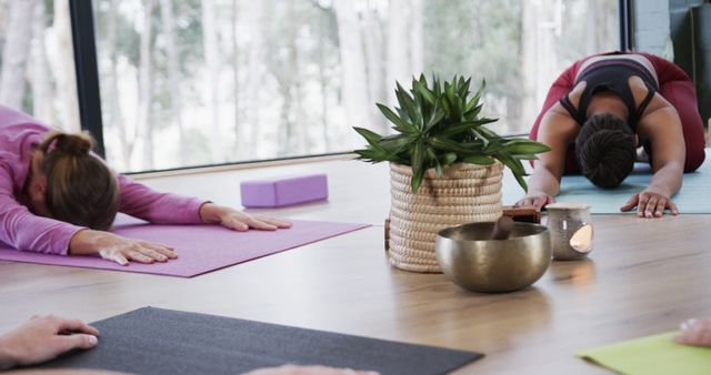 Two women practicing yoga in class with calming decor - Download Free Stock Images Pikwizard.com