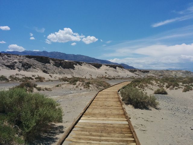 Wooden pathway traversing a dry desert landscape under a clear blue sky. Barren lands, few green shrubs along the path. Perfect for representing wilderness, remote hiking trails, solitary adventures. Ideal for backgrounds, travel blogs, nature exploration themes.