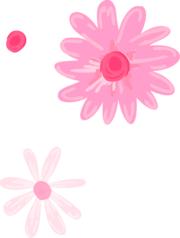 Transparent Pink Daisies Minimalist Floral Art Illustration