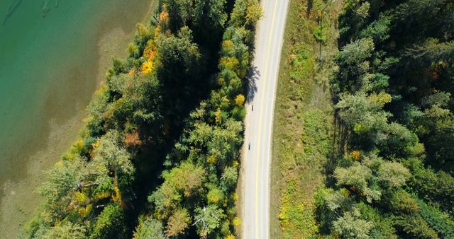 Aerial View of Winding Road Through Forest Near Green Lake - Download Free Stock Images Pikwizard.com