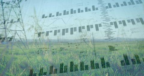 Financial Data Integration with Nature's Landscape