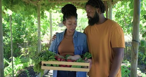 African american couple harvesting fresh vegetables under pergola holding wooden crate