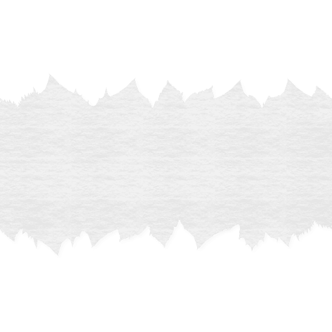 transparent torn paper edge over leaf background - Download Free Stock Videos Pikwizard.com