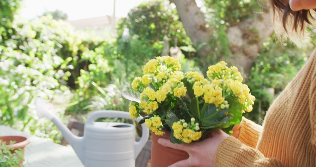 Smiling caucasian woman repotting yellow flowers in sunny garden. domestic life, gardening and leisure time concept.