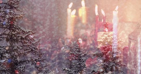 Magical Winter Trees with Soothing Christmas Candlelight - Download Free Stock Images Pikwizard.com