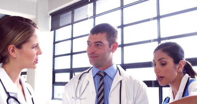 Doctors Collaborating During a Meeting in Hospital - Download Free Stock Images Pikwizard.com