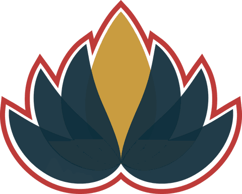 Modern-Lotus Flower Design on Transparent Background - Download Free Stock Videos Pikwizard.com