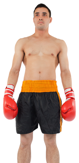 Biracial Boxer with Boxing Gloves Poses Tight-Lipped on Transparent Background - Download Free Stock Videos Pikwizard.com