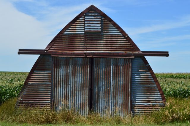 A rustic barn with a metal exterior stands prominently in the middle of a cornfield under a bright blue sky. The structure shows signs of aging and weathering, adding to its authentic and historical charm. This image could be used to illustrate rural life, farm property listings, or countryside stories. Ideal for blogs about agriculture, outdoor activities, or vintage architecture.