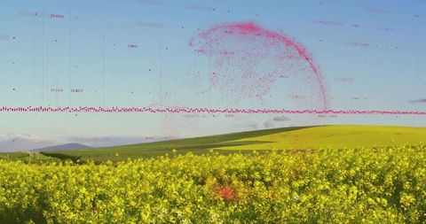 Agricultural Fields Overlaid with Digital Data Visualizations