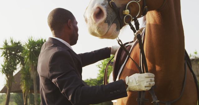 Equestrian Man Adjusting Horse Bridle Outdoors - Download Free Stock Images Pikwizard.com