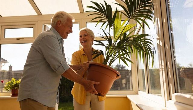 Senior couple carrying large potted palm in sunroom smiling and enjoying morning light