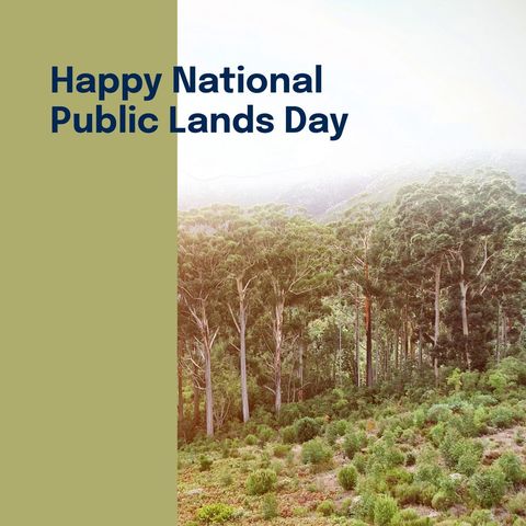 National public lands day celebration amidst serene forest