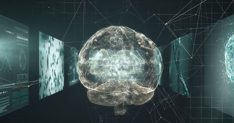 Digital Brain with Data Interface on Black Background - Download Free Stock Images Pikwizard.com