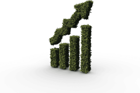 Transparent Leafy Bar Chart Growth Concept Isolated on White - Download Free Stock Videos Pikwizard.com