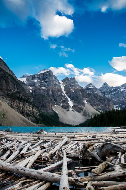 Scenic outdoor landscape capturing Rocky Mountain range with snow-capped peaks reflected in turquoise lake, driftwood in foreground. Ideal for travel blogs, nature magazines, hiking guides, adventure and tourism advertisements, or background for motivational and inspirational quotes.