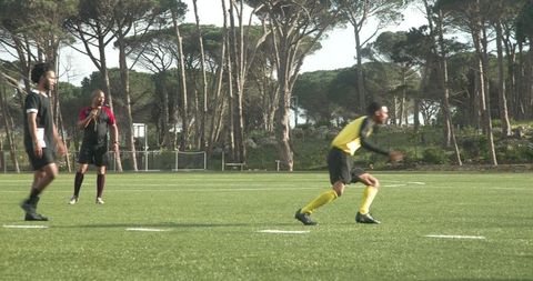Dynamic Outdoor Soccer Training on Lush Green Field