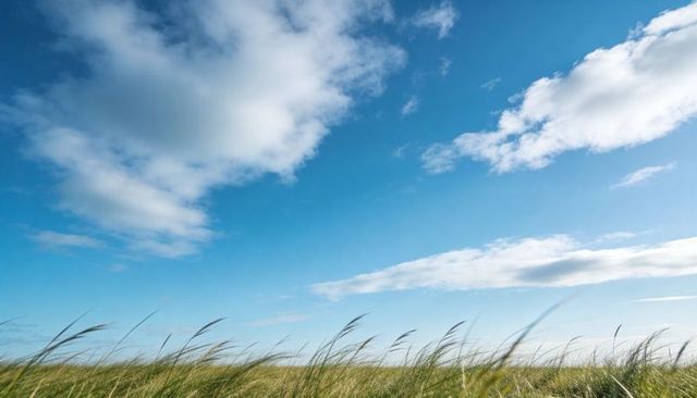 Swaying dune grasses under deep blue sky with scattered clouds, windswept coastal meadow