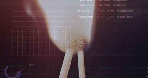 Financial Data Visualization with Lit Matches