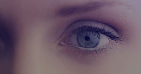 Close-Up Portrait of a Woman's Blue Eye with Makeup - Download Free Stock Images Pikwizard.com