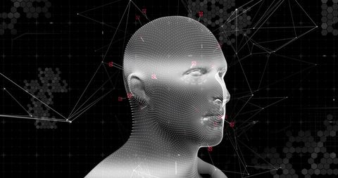 Digital Human Head Model Network Data Visualization - Download Free Stock Images Pikwizard.com