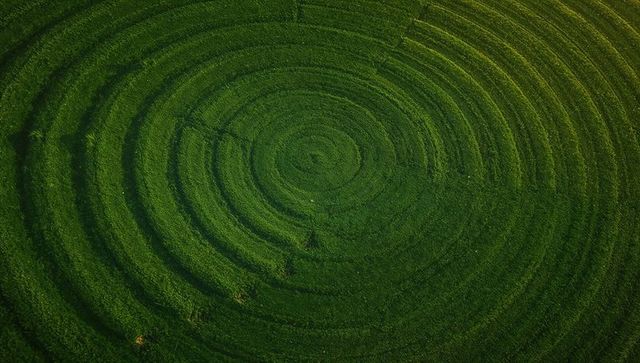 Aerial circular irrigation pattern creating concentric emerald-green rings on crop field